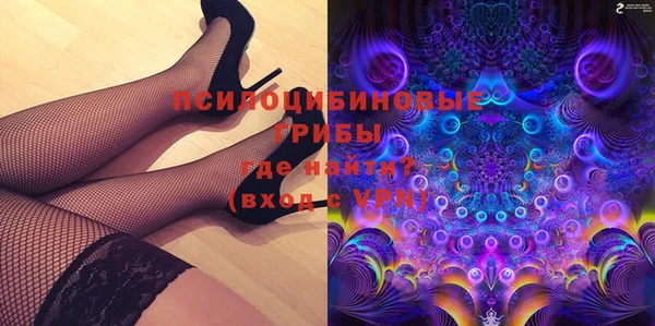 спиды Пересвет