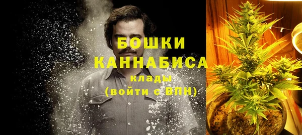 сатива Абдулино