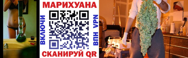 закладка  Александровск  Каннабис сатива 